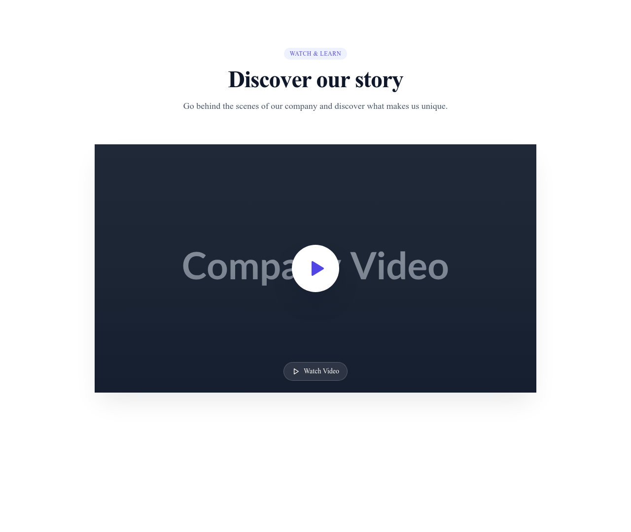 Screenshot of About Company Video template