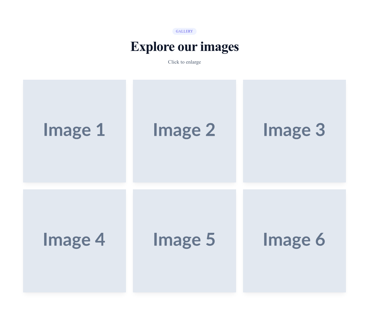 Screenshot of Gallery Lightbox template