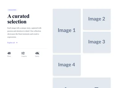 Screenshot of Gallery Section With Title template