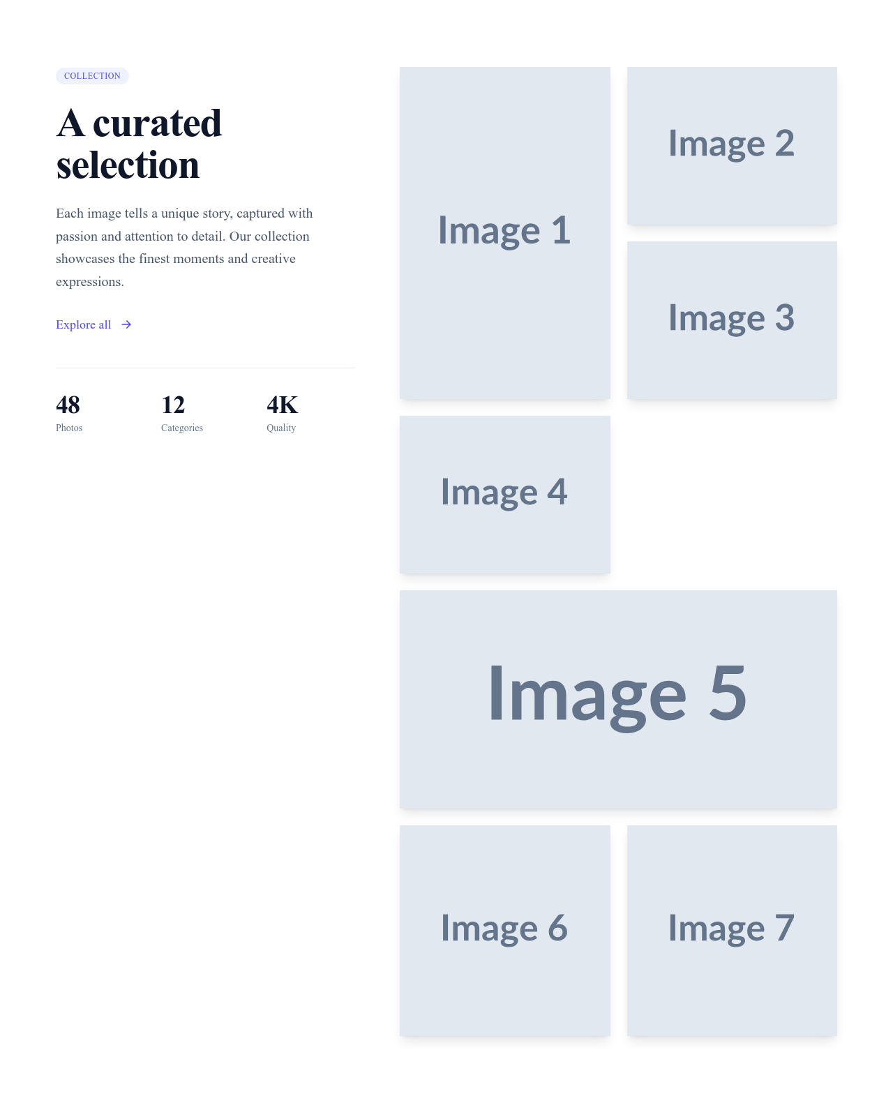 Screenshot of Gallery Section With Title template