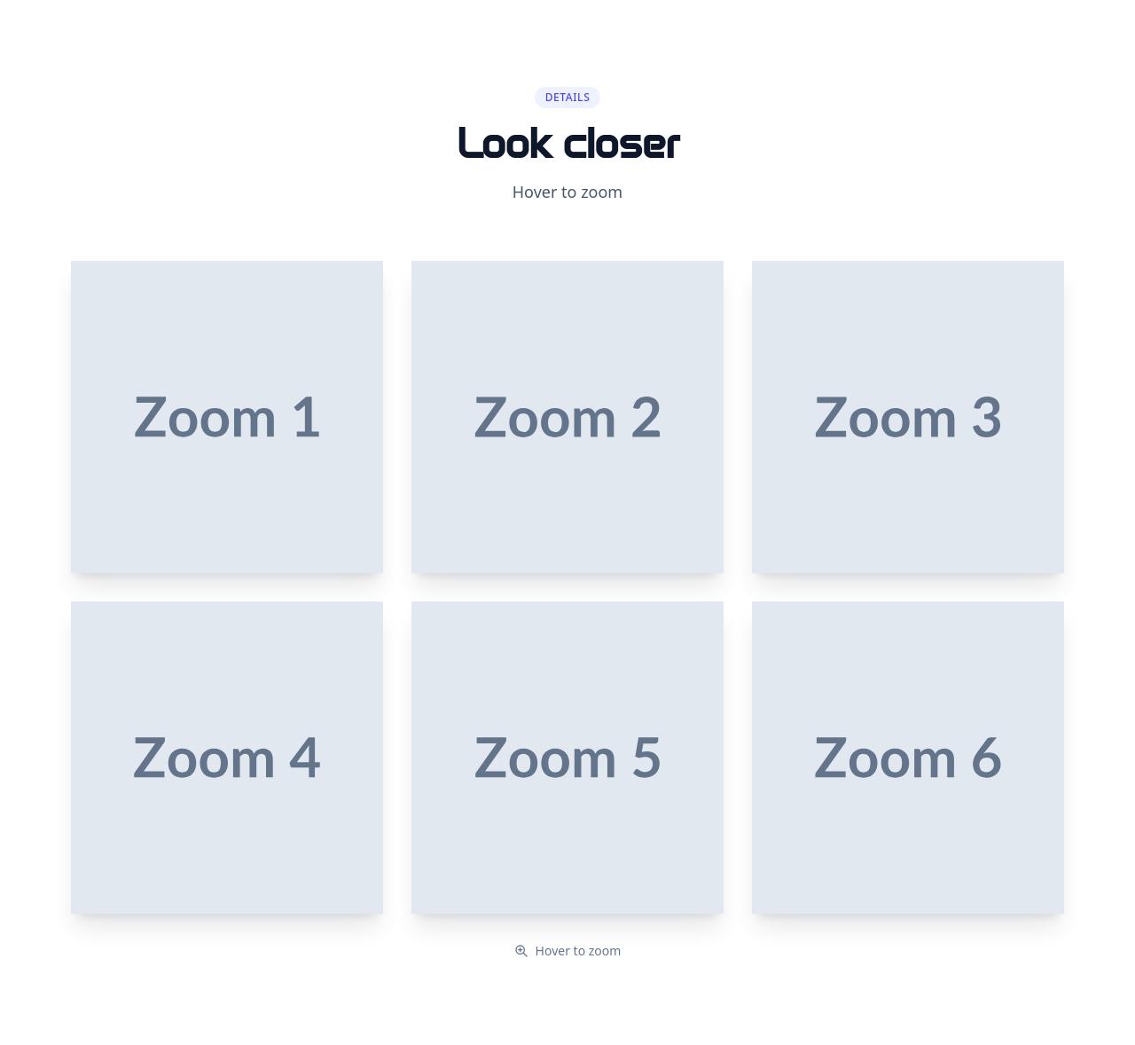 Screenshot of Gallery Zoom template