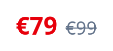 Screenshot of Price Sale template
