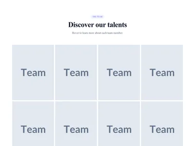 Screenshot of Team Grid Overlay template