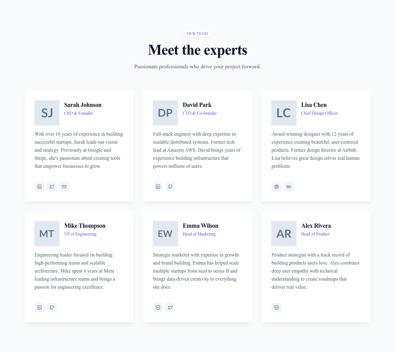 Screenshot of Team Grid With Bio template