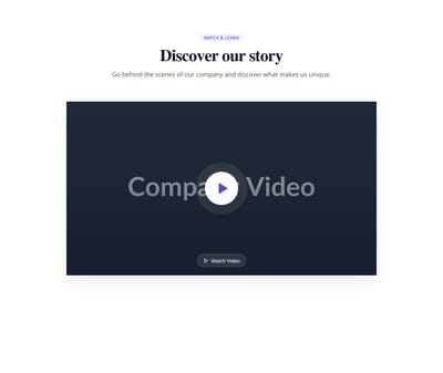 Screenshot of About Company Video template