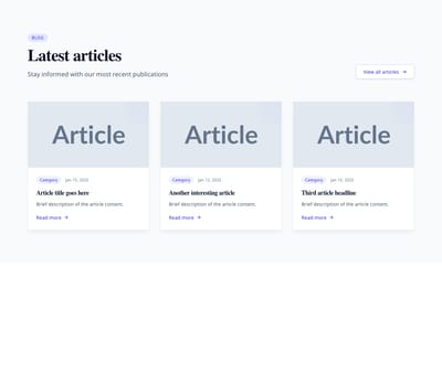 Screenshot of Blog Section Latest template