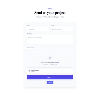 Screenshot of Contact Form With File template