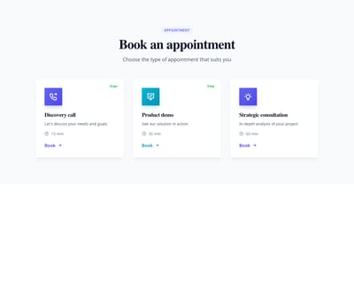 Screenshot of Contact Section Booking template