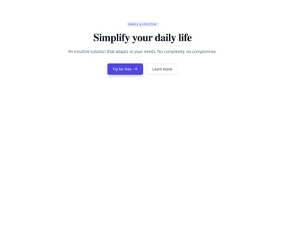 Screenshot of CTA Simple Light template