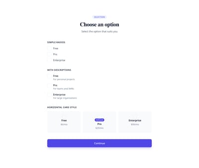 Screenshot of Form Radio Group template