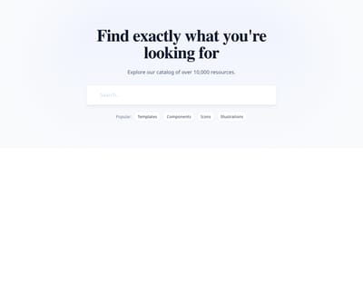 Screenshot of Hero Simple Search template
