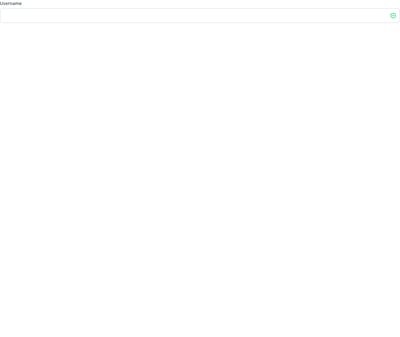Screenshot of Input Success template