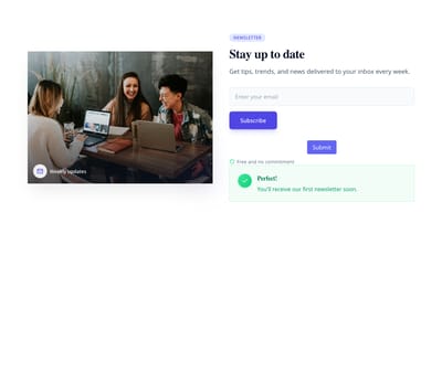 Screenshot of Newsletter Section Image template
