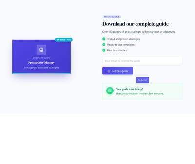 Screenshot of Newsletter Section Lead Magnet template
