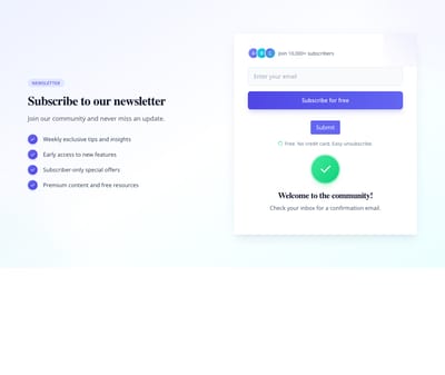 Screenshot of Newsletter With Benefits template