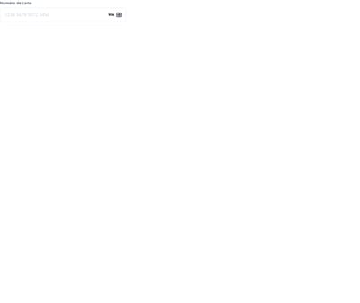 Screenshot of Payment Card Input template