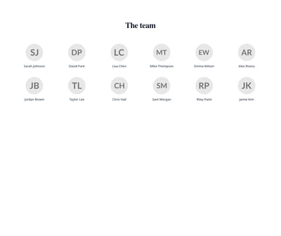 Screenshot of Team Grid Minimal template