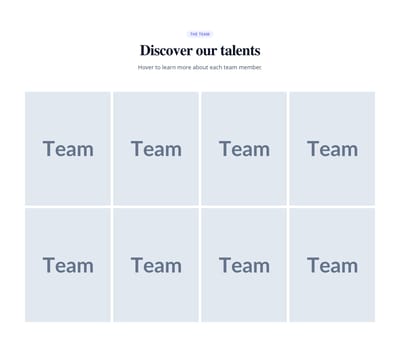 Screenshot of Team Grid Overlay template