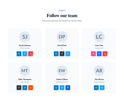 Screenshot of Team Grid Social Prominent template