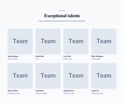 Screenshot of Team Grid Square Photos template