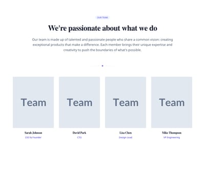 Screenshot of Team Section with Intro template