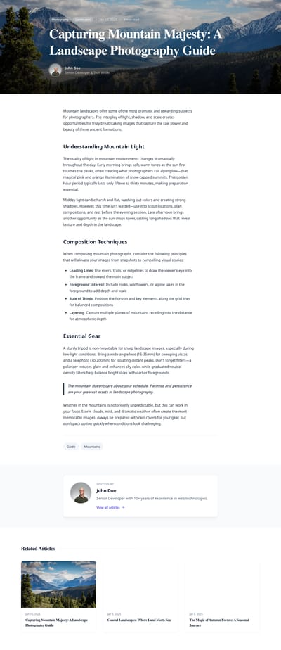 Bold Editorial - blog article page preview