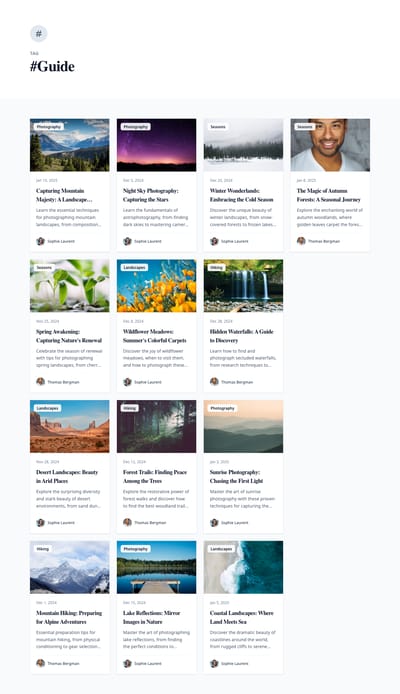 Minimal Elegance - blog tag page preview