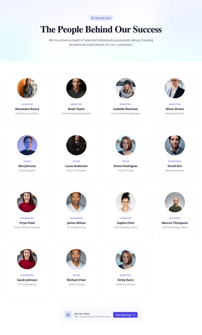 Screenshot of Team module template