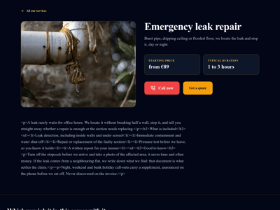 Preview of the /services/[slug] page