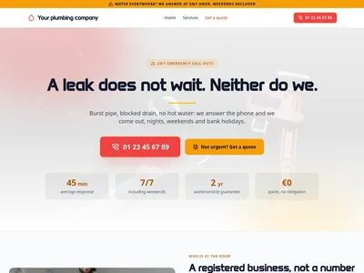 Screenshot of Plumber module template