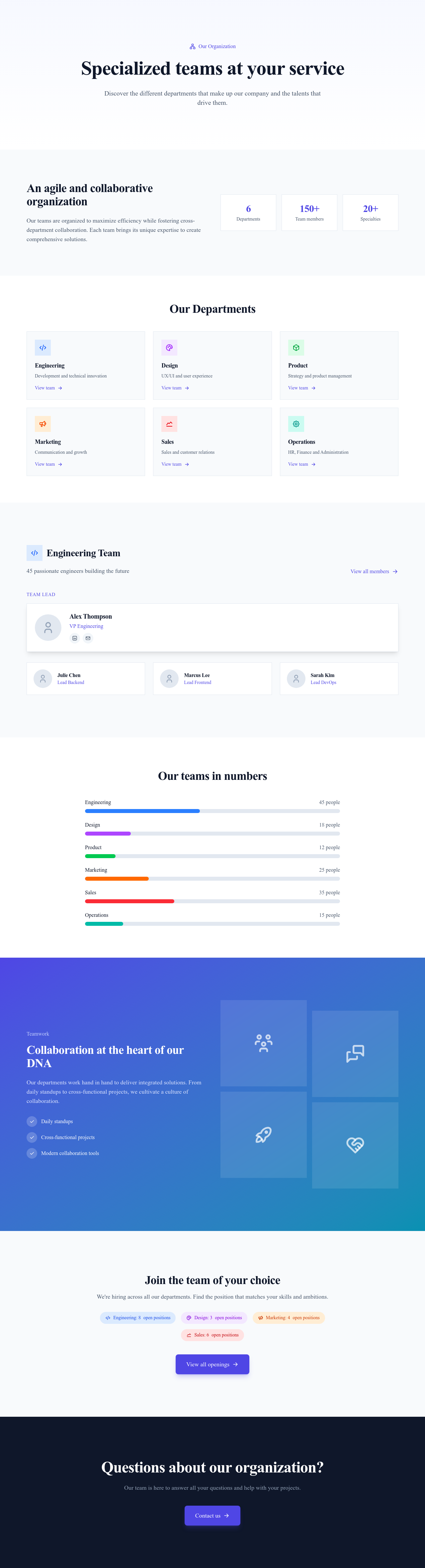 Screenshot of Team by Departments page template