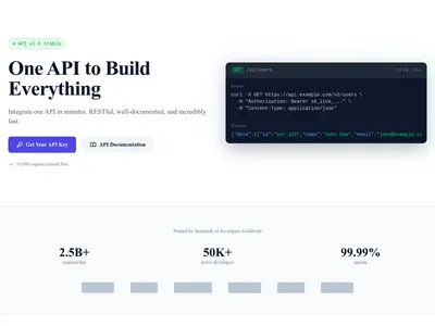 Screenshot of SaaS API page template